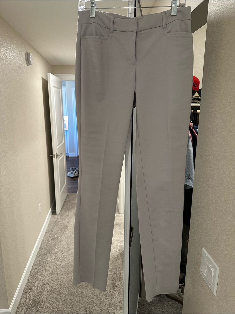 Express Dress Pants in Light Gray